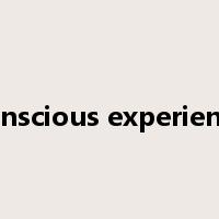 conscious experience是什么意思