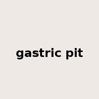 gastric pit是什么意思