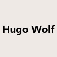 Hugo Wolf是什么意思