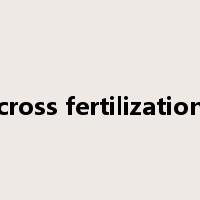 cross fertilization是什么意思