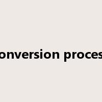 conversion process是什么意思