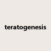 teratogenesis是什么意思