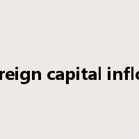 foreign capital inflow是什么意思