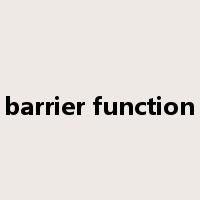 barrier function是什么意思