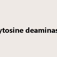 cytosine deaminase是什么意思