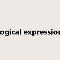 logical expression是什么意思