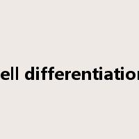 cell differentiation是什么意思