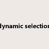 dynamic selection是什么意思