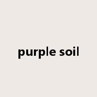 purple soil是什么意思