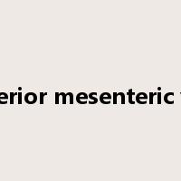 superior mesenteric vein是什么意思
