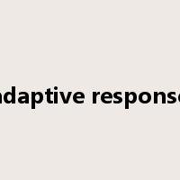 adaptive response是什么意思
