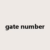 gate number是什么意思