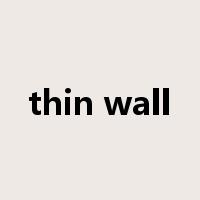 thin wall是什么意思