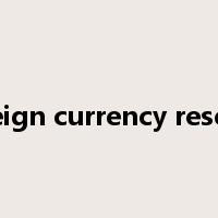 foreign currency reserve是什么意思