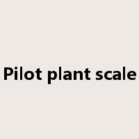 Pilot plant scale是什么意思