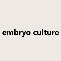 embryo culture是什么意思