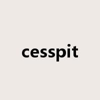 cesspit是什么意思