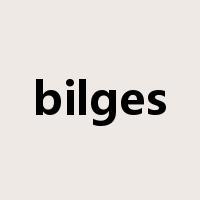 bilges是什么意思