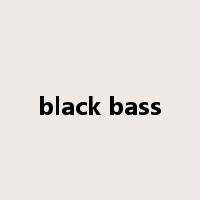 black bass是什么意思