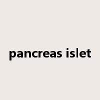 pancreas islet是什么意思