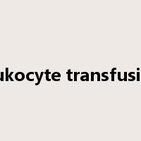 leukocyte transfusion是什么意思