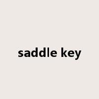 saddle key是什么意思