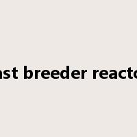 fast breeder reactor是什么意思