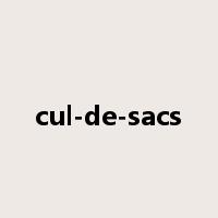 cul-de-sacs是什么意思