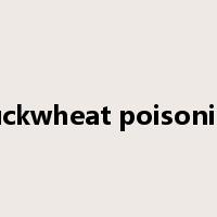 buckwheat poisoning是什么意思