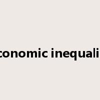 economic inequality是什么意思