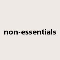 non-essentials是什么意思