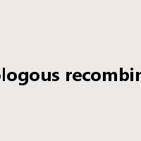 homologous recombination是什么意思