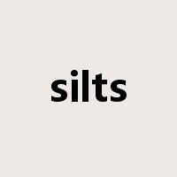 silts是什么意思