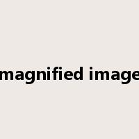 magnified image是什么意思