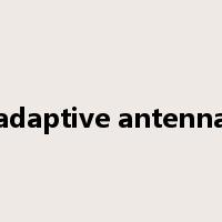 adaptive antenna是什么意思