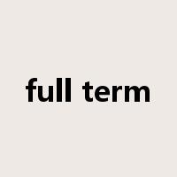 full term是什么意思