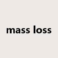 mass loss是什么意思
