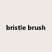 bristle brush是什么意思