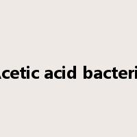 Acetic acid bacteria是什么意思