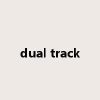dual track是什么意思