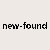 new-found是什么意思