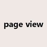 page view是什么意思