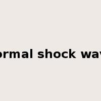 normal shock wave是什么意思