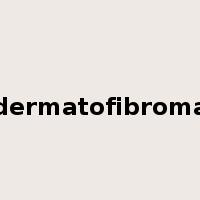 dermatofibroma是什么意思