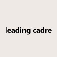 leading cadre是什么意思