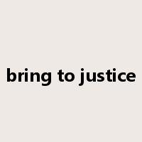 bring to justice是什么意思