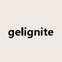 gelignite是什么意思