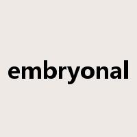 embryonal是什么意思