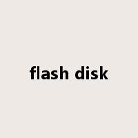 flash disk是什么意思
