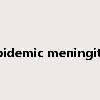 epidemic meningitis是什么意思